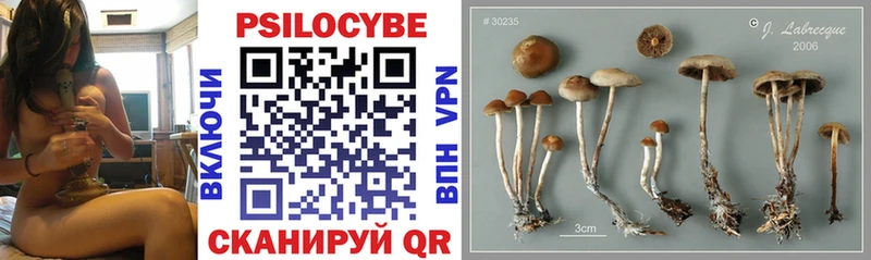 Псилоцибиновые грибы MAGIC MUSHROOMS Никольск